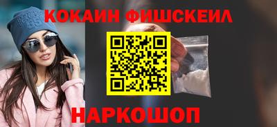 крисы Кулебаки