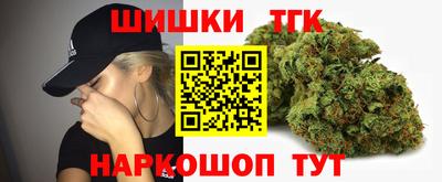 крисы Кулебаки