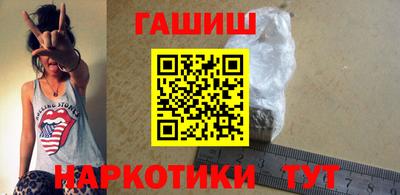крисы Кулебаки